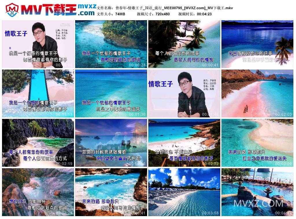 曾春年-情歌王子_国语_流行_MEE00795